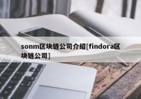 sonm区块链公司介绍[findora区块链公司]