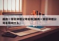 越南一家区块链公司名称[越南一家区块链公司名称叫什么]