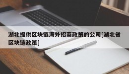 湖北提供区块链海外招商政策的公司[湖北省区块链政策]